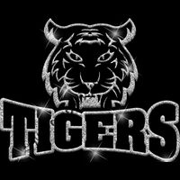 GLT32 SILVER GLITTER Thumbnail