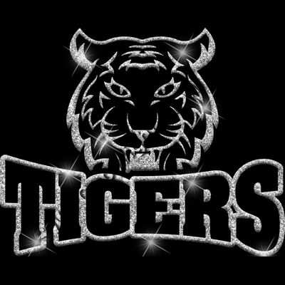 GLT32 SILVER GLITTER Thumbnail