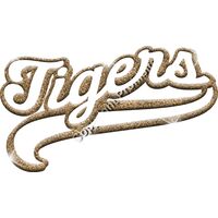 GLT78 GOLD GLITTER Thumbnail